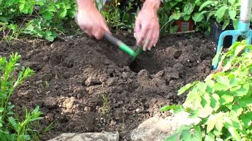 Gardening 動画素材 85687472