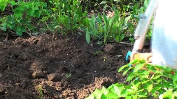 Gardening 库存影片 85688386