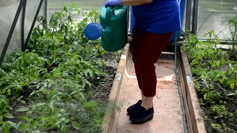 Gardening Stock Footage 154720987