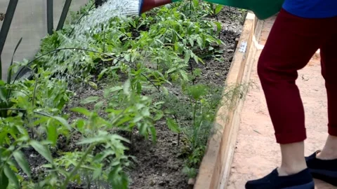 Gardening Stock Footage 154727451
