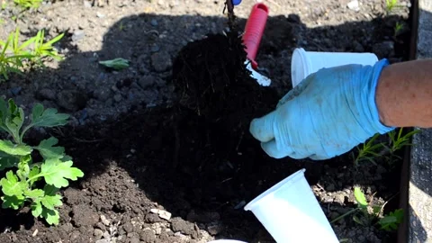 Gardening Stock Footage 155131990