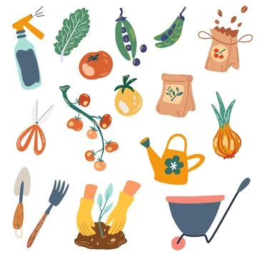 Gardening. Garden work elements tools, packs of seeds, vegetables. Concept of Stock Illustration
