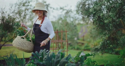 Gardening with Grandma Stock Footage 171018342
