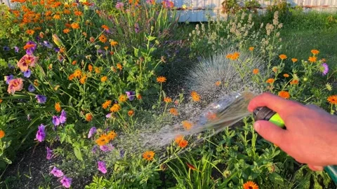 Gardening hobby concept Stock Footage 249664449