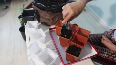 Gardening at home. Stockbeeldmateriaal 154902871