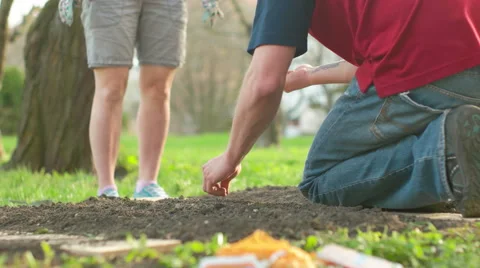 Gardening in the House Backyard Stock Footage 62402524
