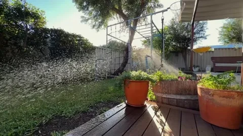 Gardening pan of back yard with sprinkler, lawn and pot plants in sunshine Stock Footage 333955549