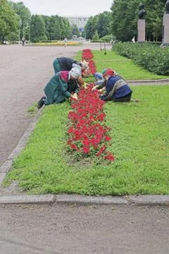 Gardening Stock Photos