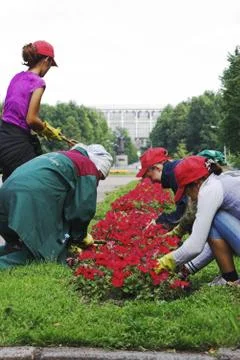 Gardening Stock Photos