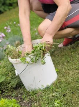 Gardening Stockfoto's