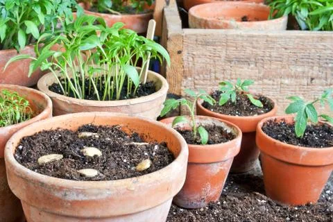 Gardening Stock Photos