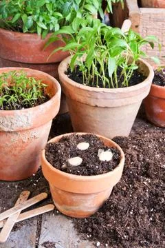 Gardening Stock Photos
