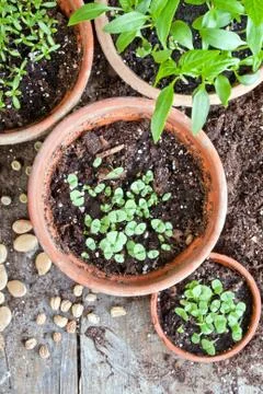 Gardening Foto stock