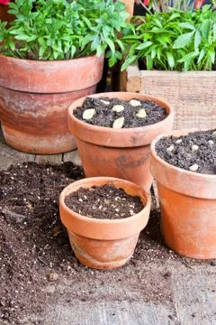 Gardening Stock Photos