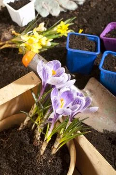 Gardening Stock Photos