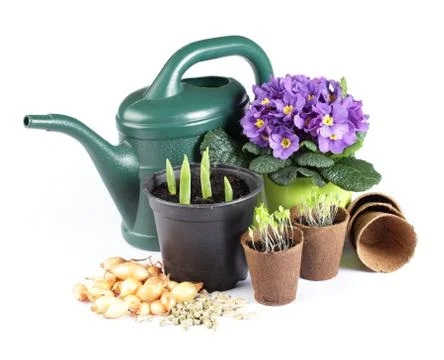 Gardening Stock Photos