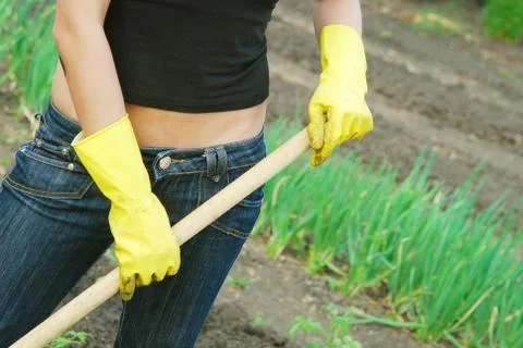 Gardening Stock Photos