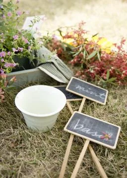 Gardening Stock Photos