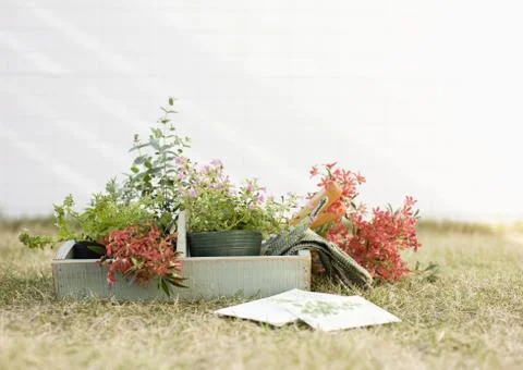 Gardening Stock Photos