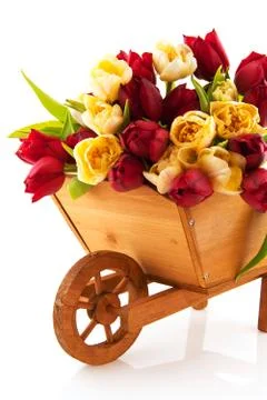 Gardening Stock Photos