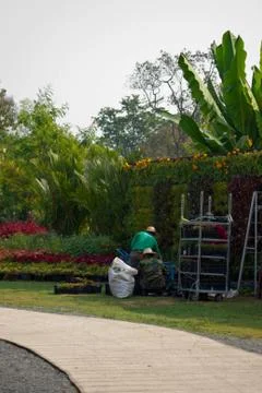 Gardening Stock Photos