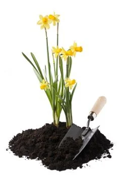 Gardening Stock Photos