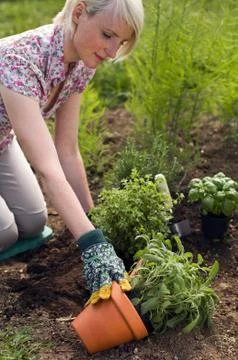 Gardening Stock Photos