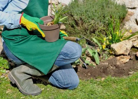 Gardening Stock Photos