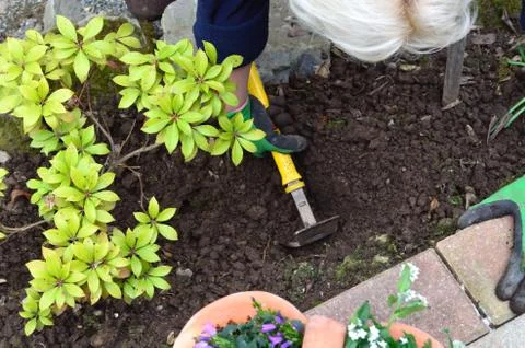 Gardening Stock Photos