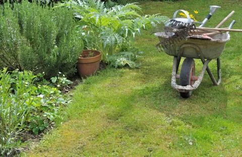 Gardening Stock Photos