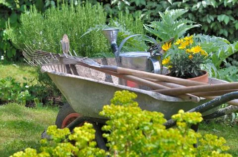 Gardening Stock Photos