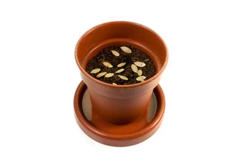 Gardening  Stock Photos
