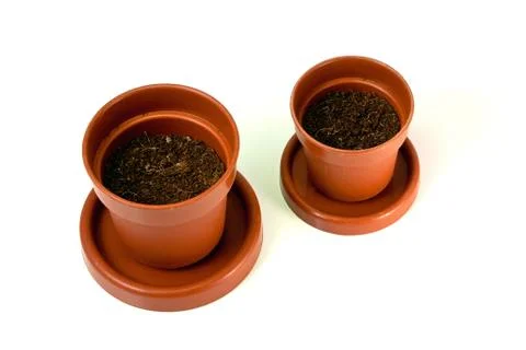 Gardening  Stock Photos