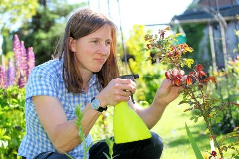 Gardening Stock Photos