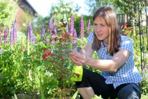 Gardening Stock Photos