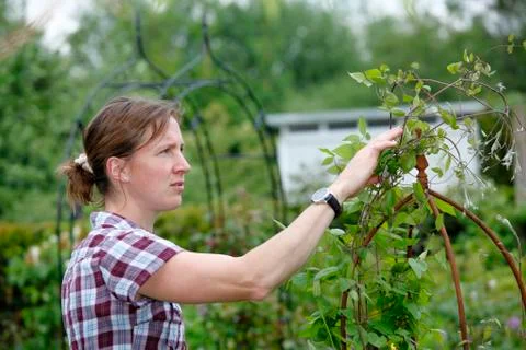 Gardening Stock Photos