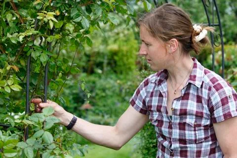 Gardening Stock Photos