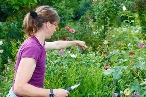 Gardening Stock Photos