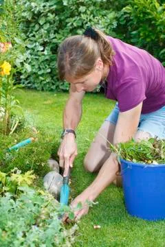 Gardening Stock Photos