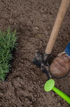 Gardening Stock Photos