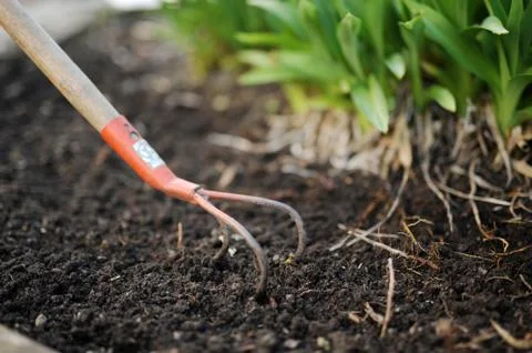 Gardening Stock Photos