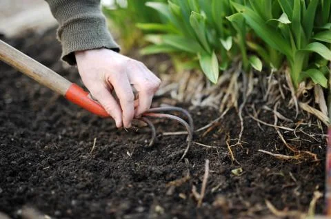 Gardening Stock Photos