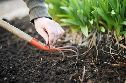 Gardening 写真素材
