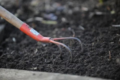 Gardening Stock Photos