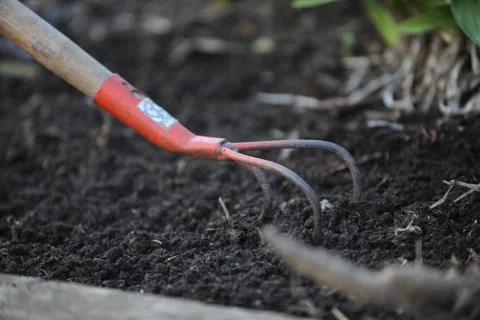 Gardening Stock Photos