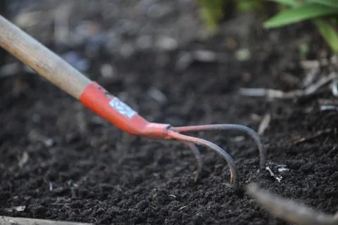 Gardening Stock Photos