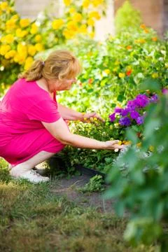 Gardening Stock Photos