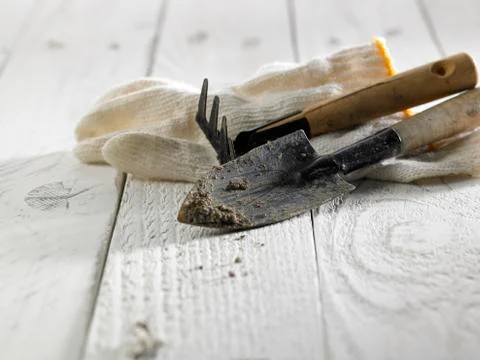 Gardening Stock Photos