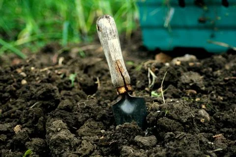 Gardening 스톡 사진