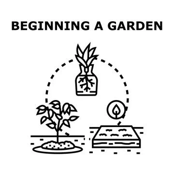 Gardening process and cultivation steps illustration Illustrazione stock